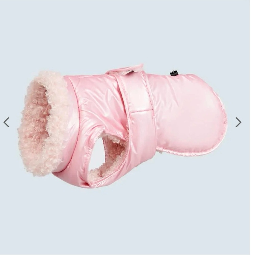 Spark Paws Insulated Dog Coat